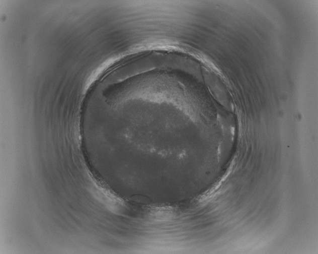 X0000076270438200609281209