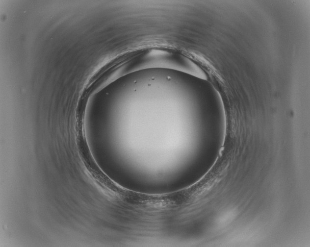 X0000076270439200609281209