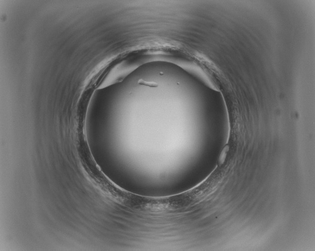 X0000076270440200609281209