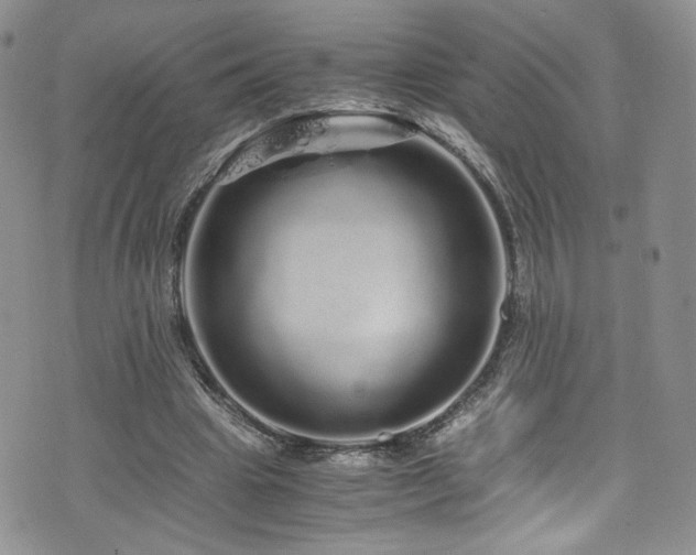 X0000076270441200609281209