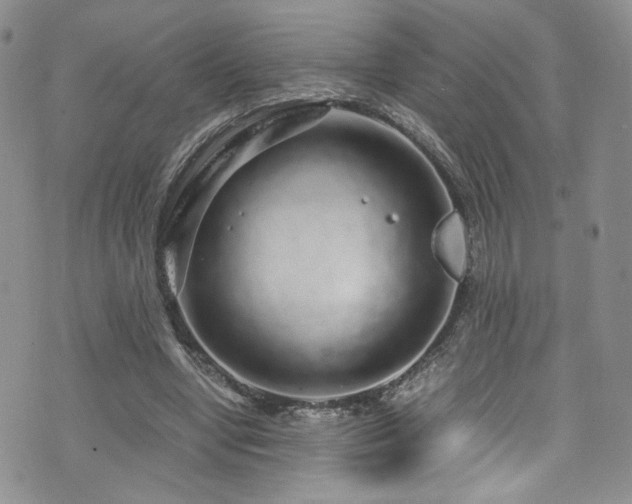 X0000076270442200609281209