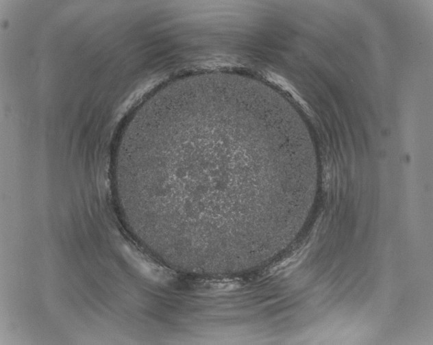 X0000076270443200609281209