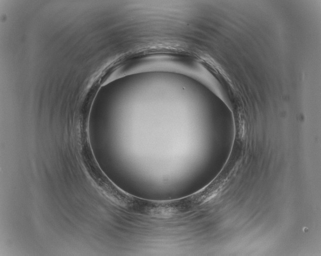 X0000076270444200609281209