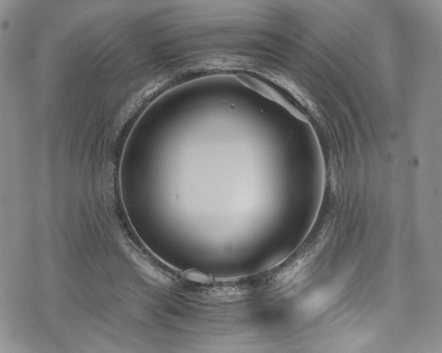 X0000076270445200609281209