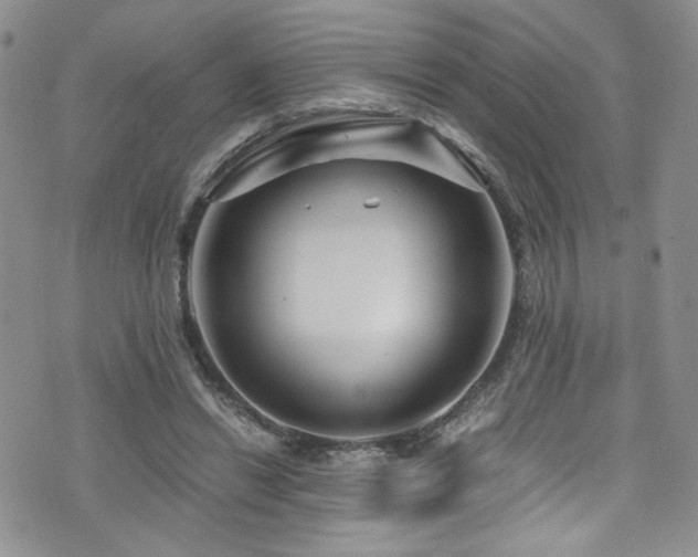 X0000076270446200609281209