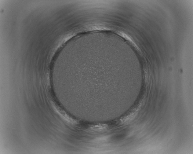 X0000076270447200609281209