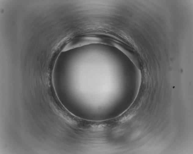 X0000076270450200609281209