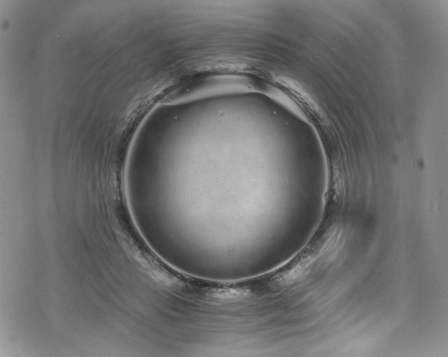 X0000076270453200609281210