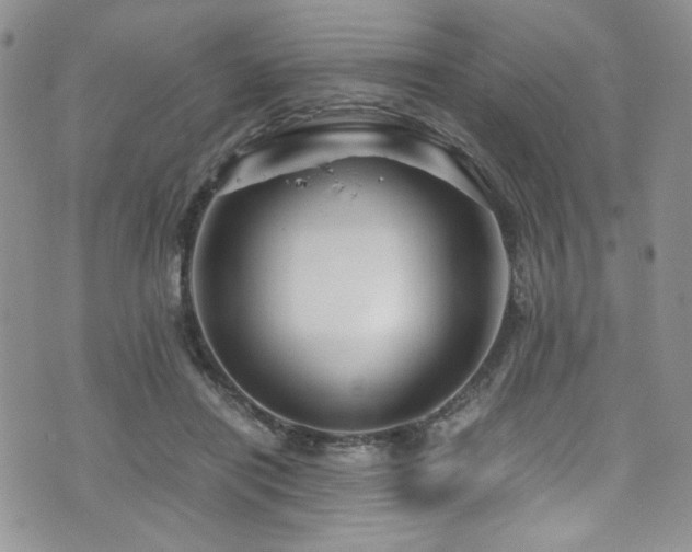 X0000076270454200609281210