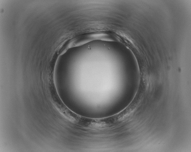 X0000076270455200609281210