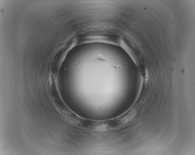 X0000076270456200609281210