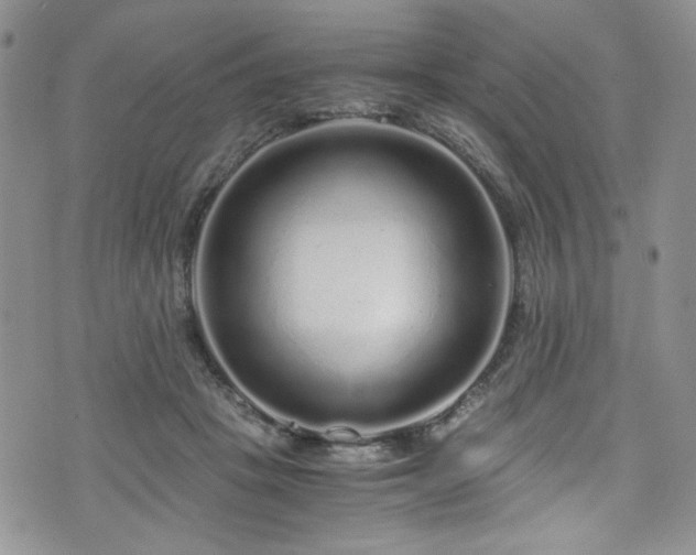 X0000076270457200609281210