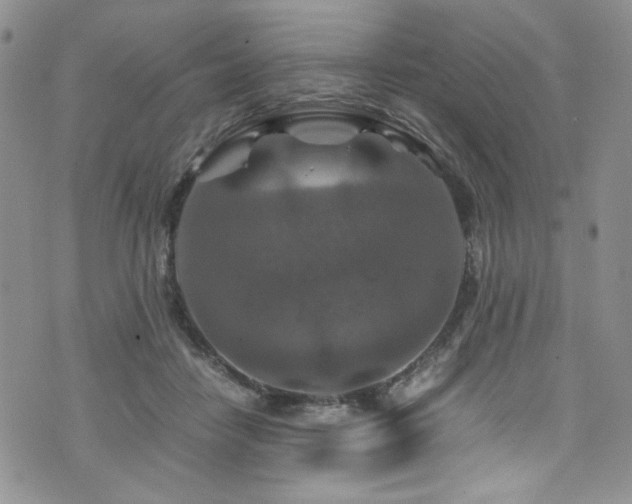 X0000076270458200609281210