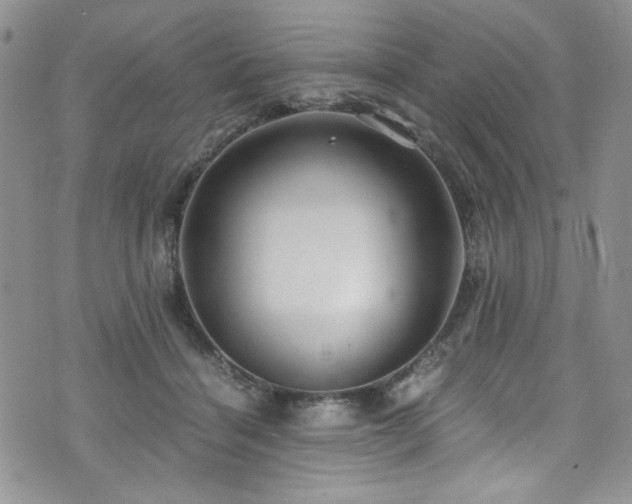 X0000076270460200609281210