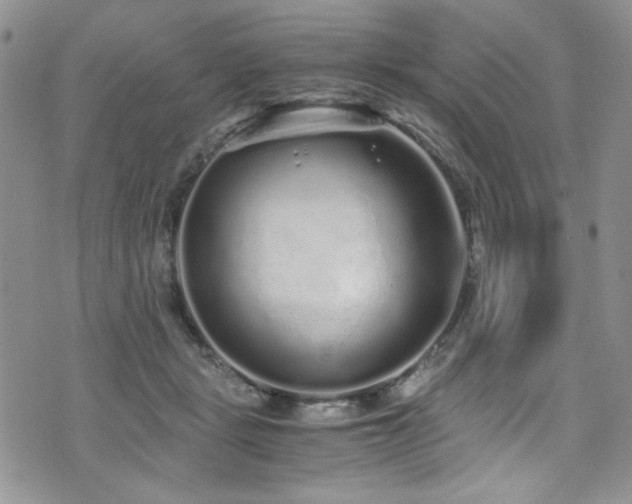 X0000076270461200609281210