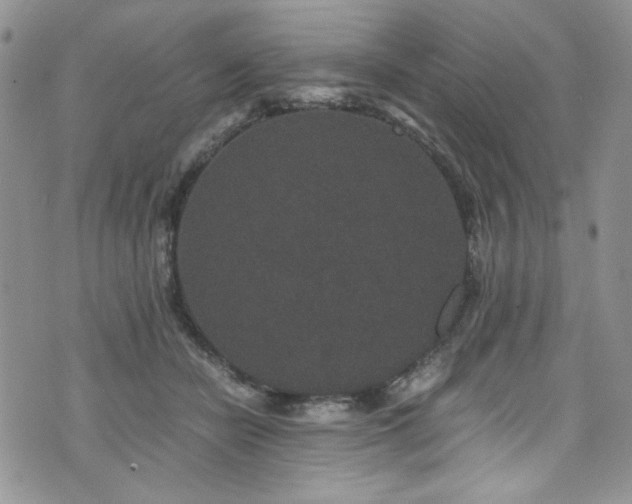 X0000076270462200609281210