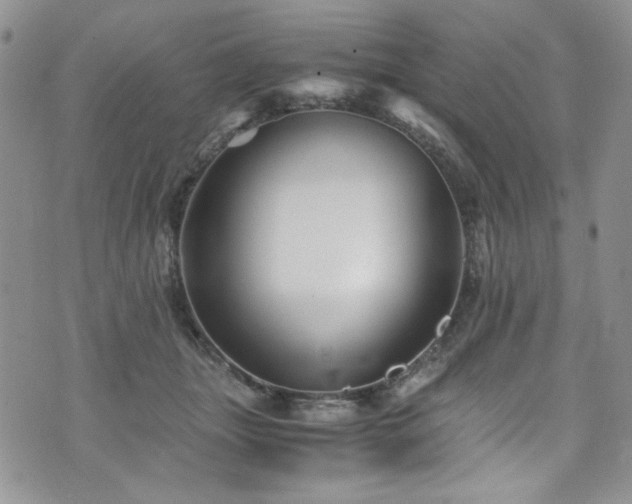 X0000076270463200609281210