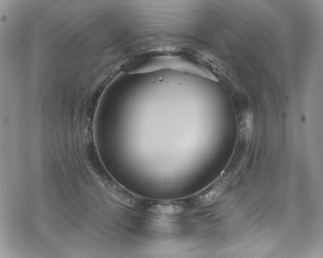 X0000076270464200609281210