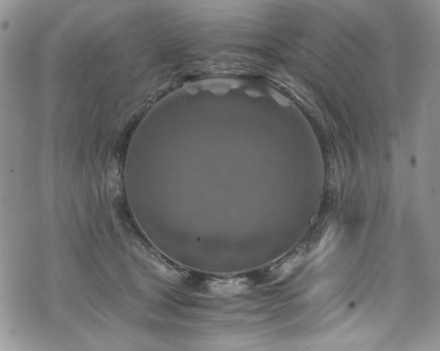 X0000076270465200609281210