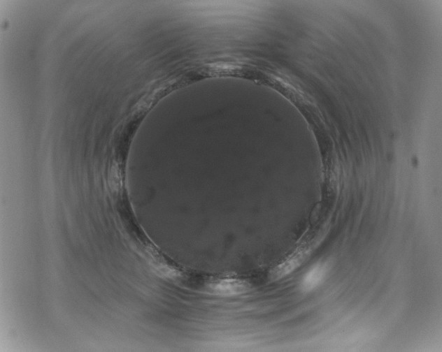 X0000076270467200609281210