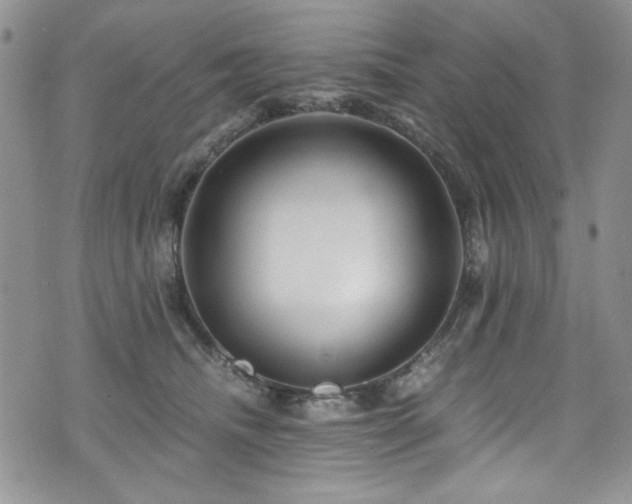 X0000076270468200609281210