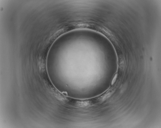 X0000076270469200609281210