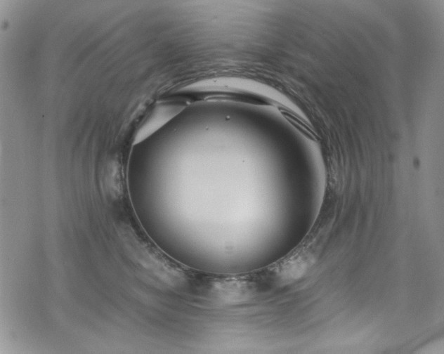 X0000076270470200609281210