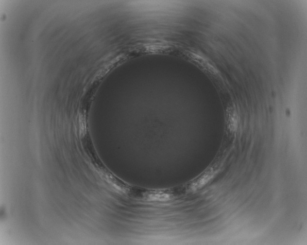 X0000076270471200609281210