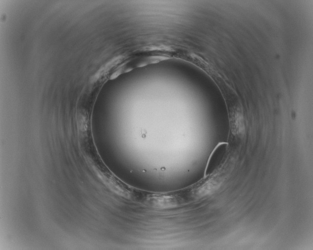 X0000076270472200609281210