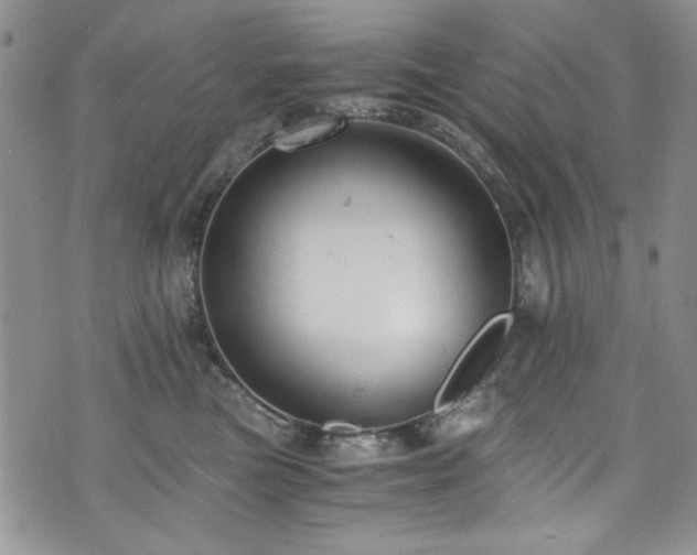 X0000076270473200609281210