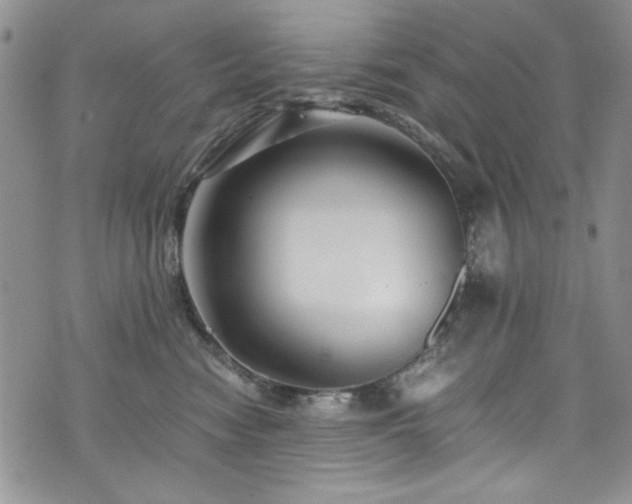 X0000076270474200609281210