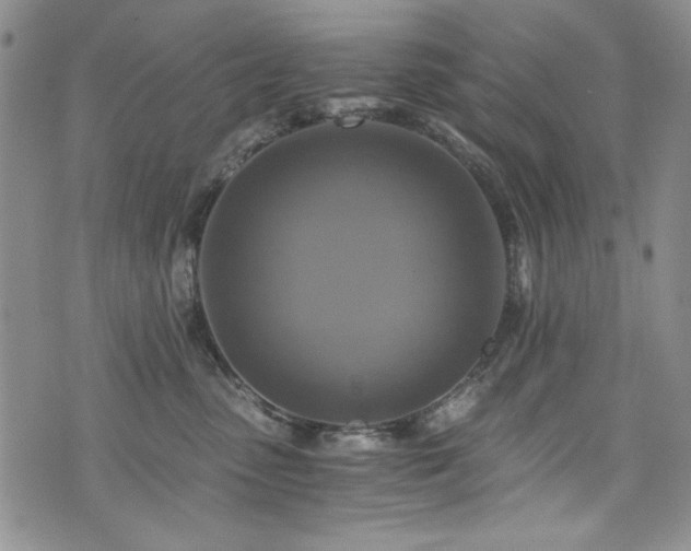 X0000076270475200609281210