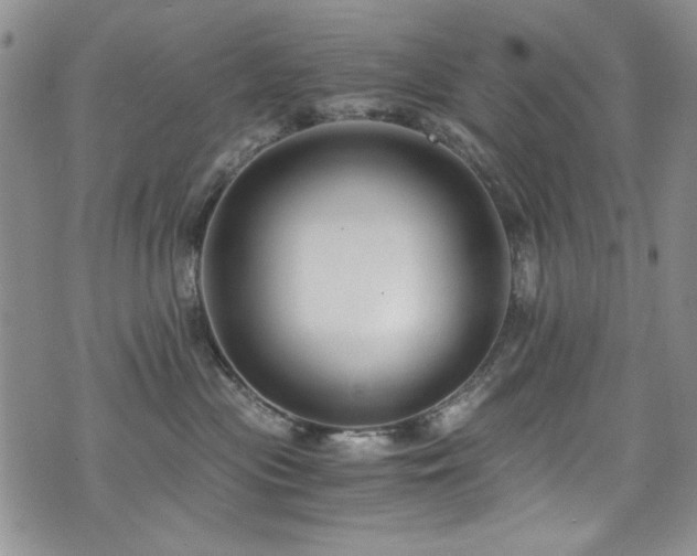 X0000076270477200609281210