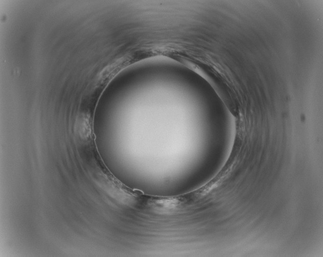 X0000076270478200609281210