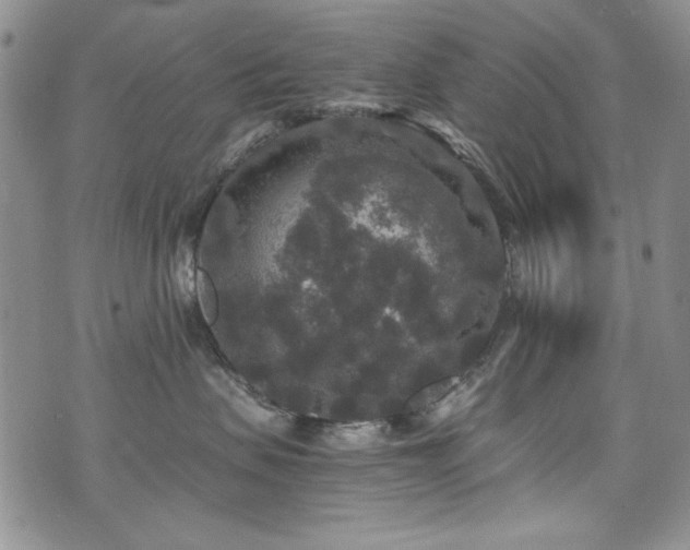 X0000076270479200609281210