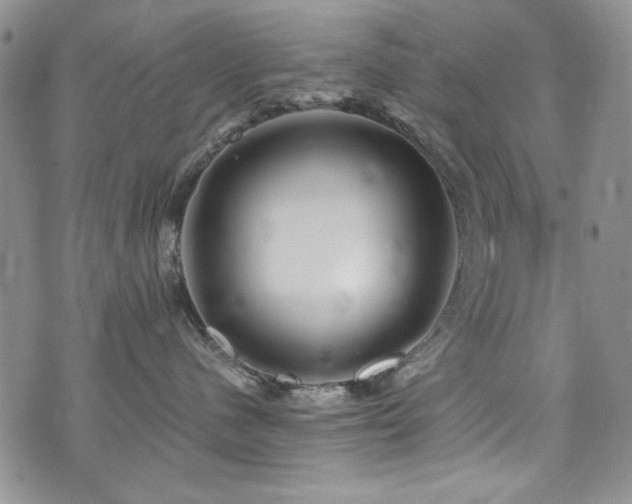 X0000076270480200609281210