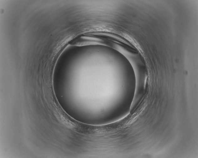 X0000076270481200609281209