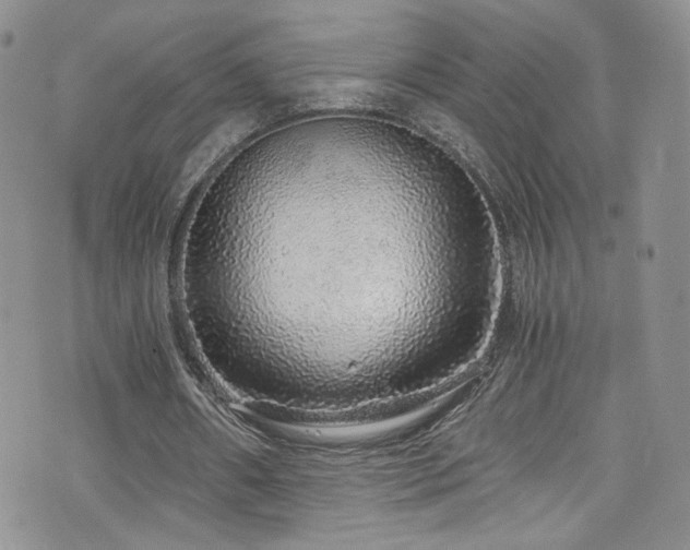 X0000076270482200609281209