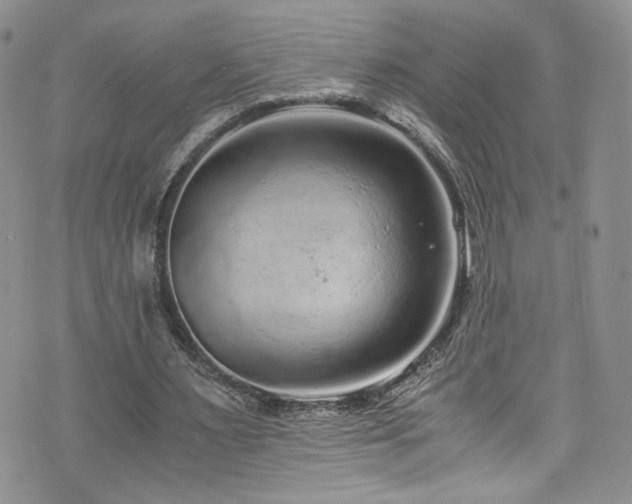 X0000076270483200609281209