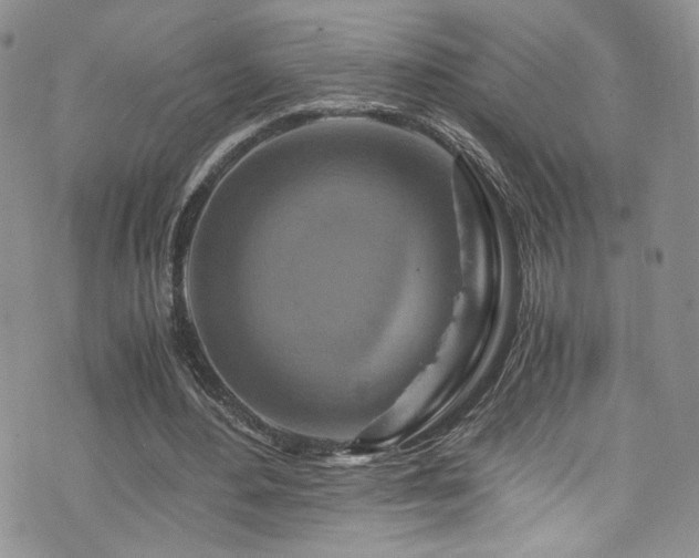 X0000076270484200609281209