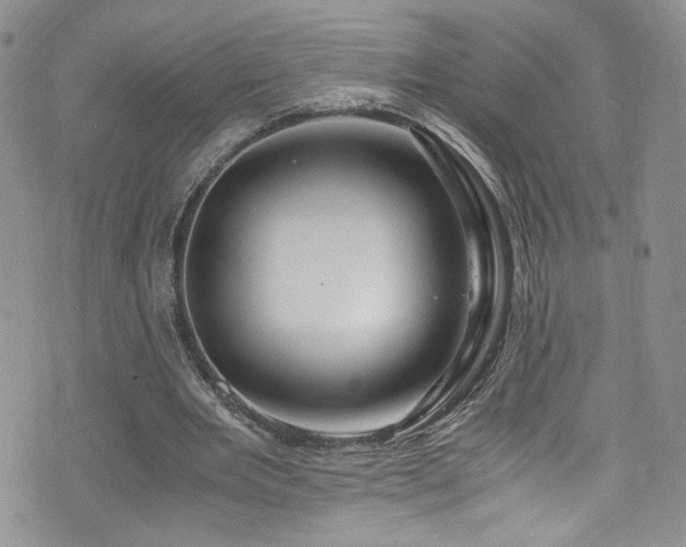 X0000076270485200609281209