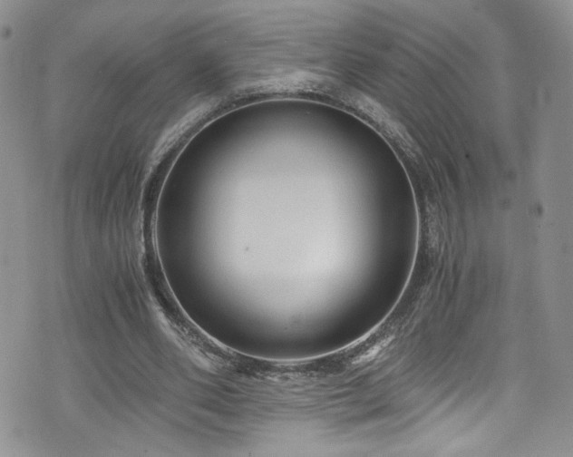 X0000076270486200609281209