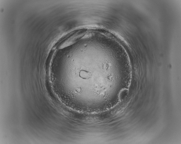 X0000076270487200609281209