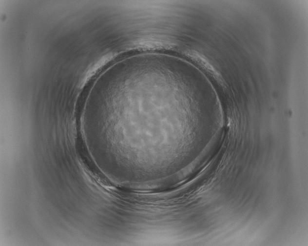 X0000076270488200609281209