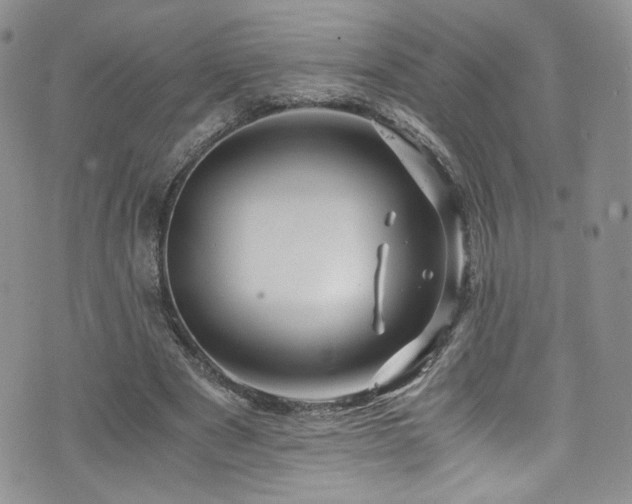 X0000076270489200609281209