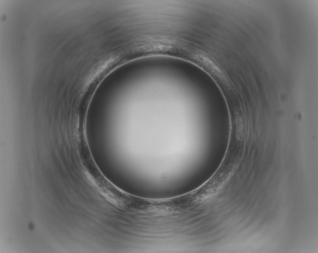 X0000076270490200609281209