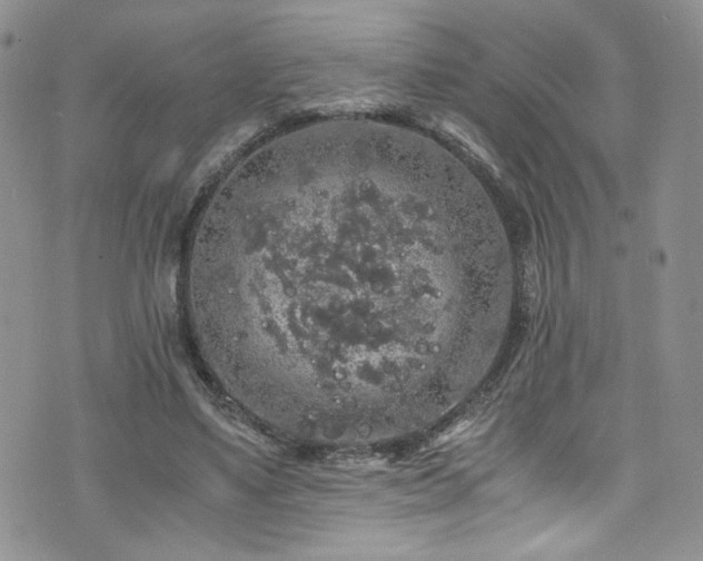 X0000076270491200609281209