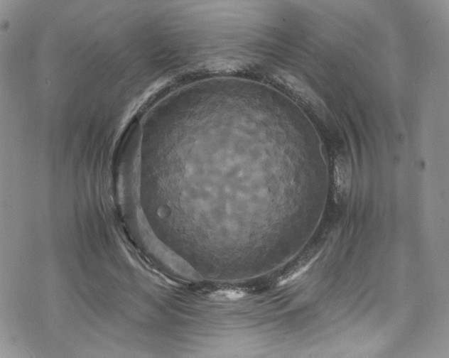 X0000076270492200609281209