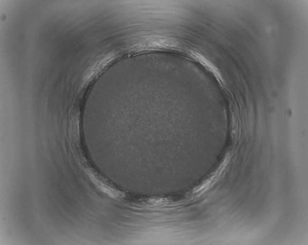 X0000076270493200609281209