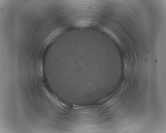 X0000076270494200609281209